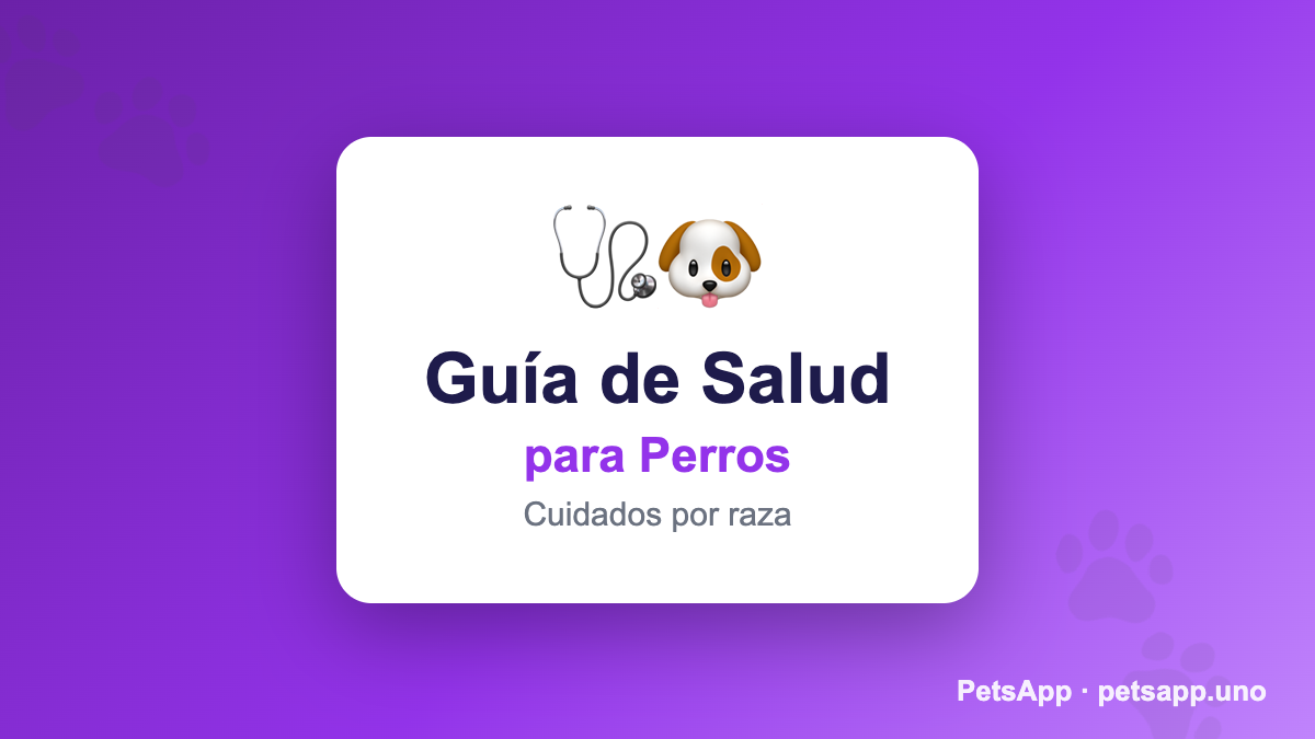Shih Tzu: Cuidados, Salud y Enfermedades Comunes (2026)