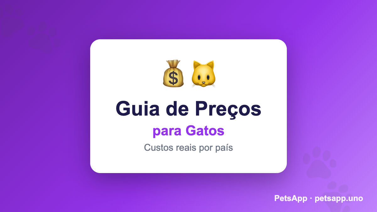 Quanto Custa Castrar um Gato em Macau? Preços 2026