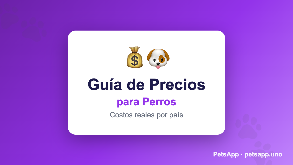 Chihuahua precio: cuánto cuesta en Latinoamérica 2026