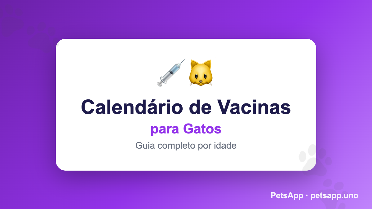 Calendário de Vacinas para Gatos no Brasil — Guia 2026
