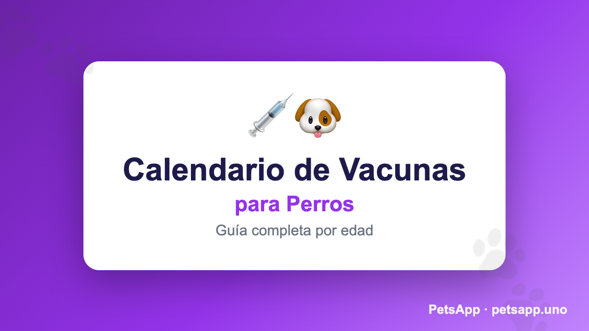 Calendario de Vacunación para Perros 2026: Guía por Edad